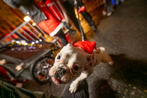 krew.ch-XmasRun 2024--119